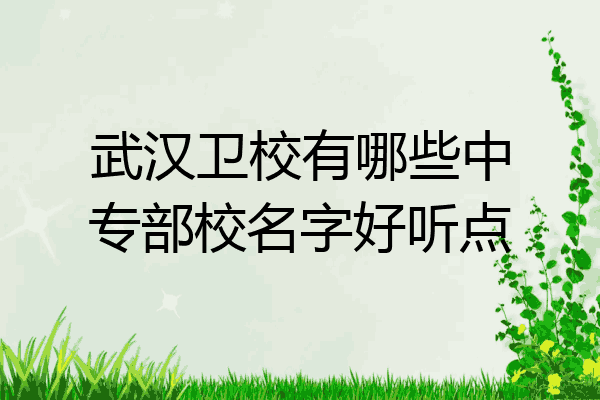 武汉卫校有哪些中专部校名字好听点