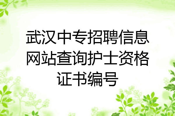 武汉中专招聘信息网站查询护士资格证书编号