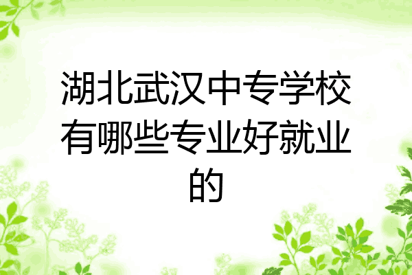 湖北武汉中专学校有哪些专业好就业的