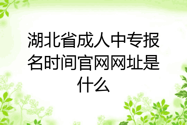 湖北省成人中专报名时间官网网址是什么