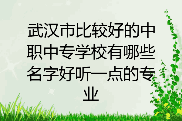 武汉市比较好的中职中专学校有哪些名字好听一点的专业
