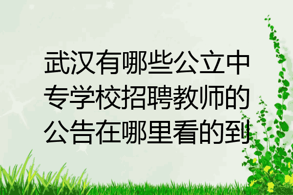 武汉有哪些公立中专学校招聘教师的公告在哪里看的到
