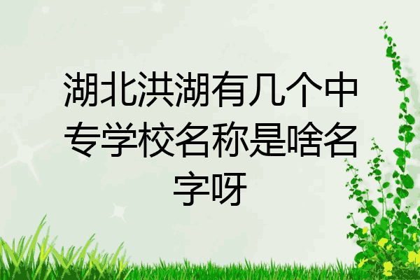 湖北洪湖有几个中专学校名称是啥名字呀