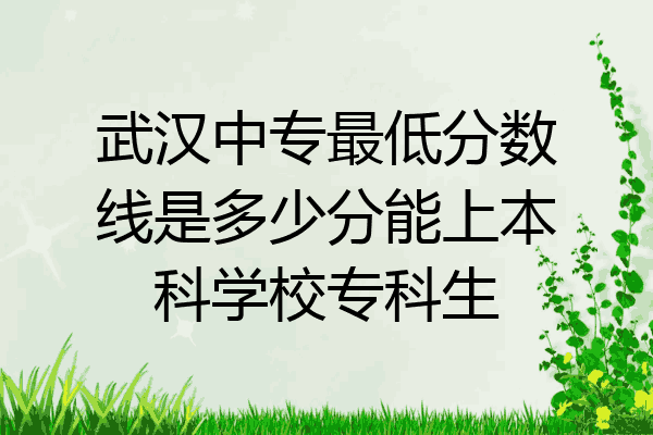 武汉中专最低分数线是多少分能上本科学校专科生