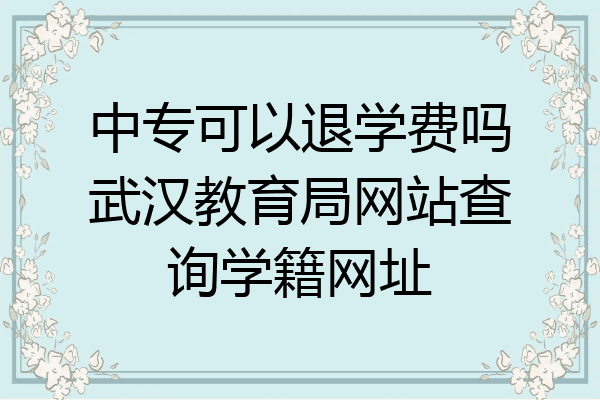 中专可以退学费吗武汉教育局网站查询学籍网址