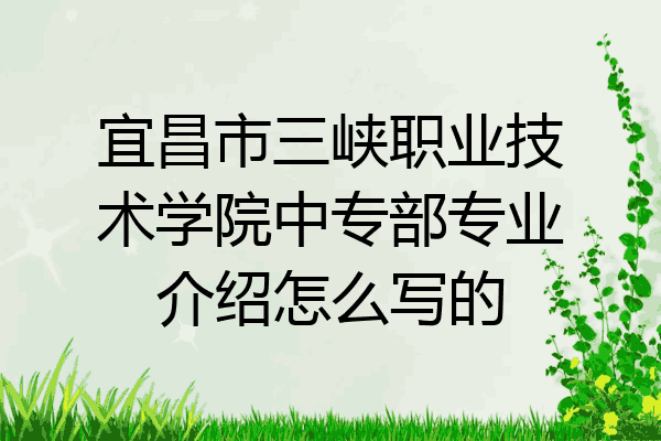 宜昌市三峡职业技术学院中专部专业介绍怎么写的