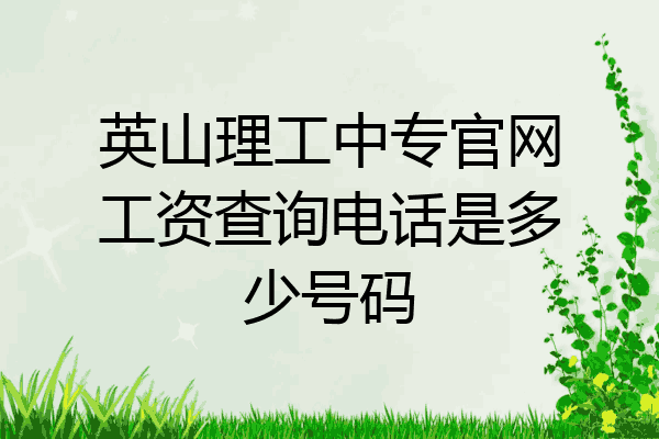 英山理工中专官网工资查询电话是多少号码