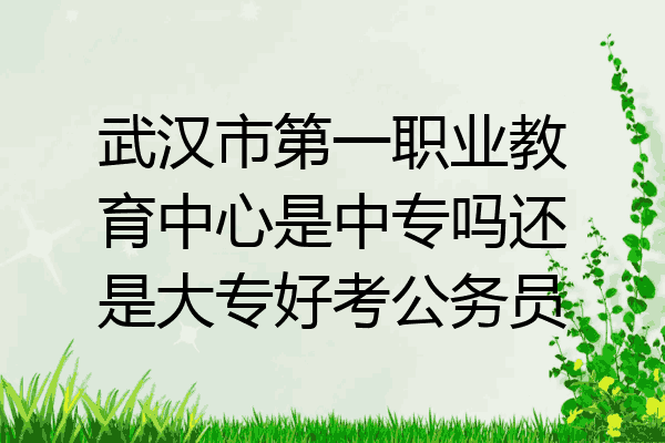 武汉市第一职业教育中心是中专吗还是大专好考公务员