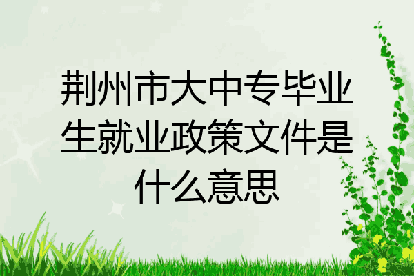 荆州市大中专毕业生就业政策文件是什么意思