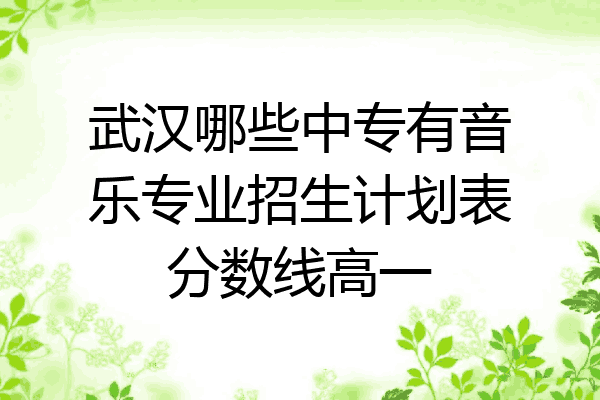 武汉哪些中专有音乐专业招生计划表分数线高一