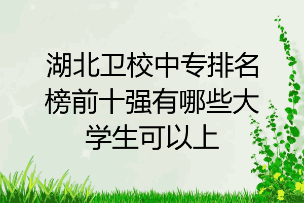 湖北卫校中专排名榜前十强有哪些大学生可以上