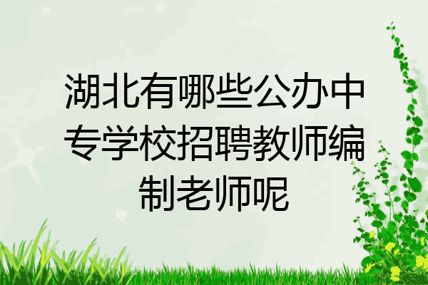 湖北有哪些公办中专学校招聘教师编制老师呢