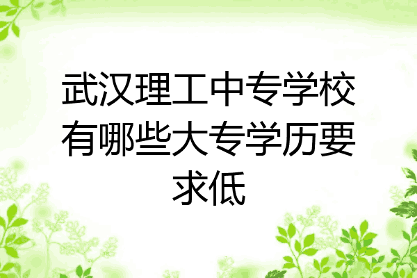 武汉理工中专学校有哪些大专学历要求低