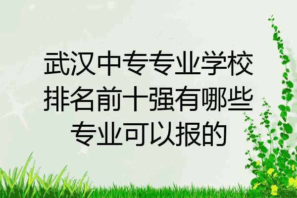 武汉中专专业学校排名前十强有哪些专业可以报的