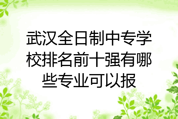 武汉全日制中专学校排名前十强有哪些专业可以报