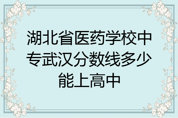 湖北省医药学校中专武汉分数线多少能上高中