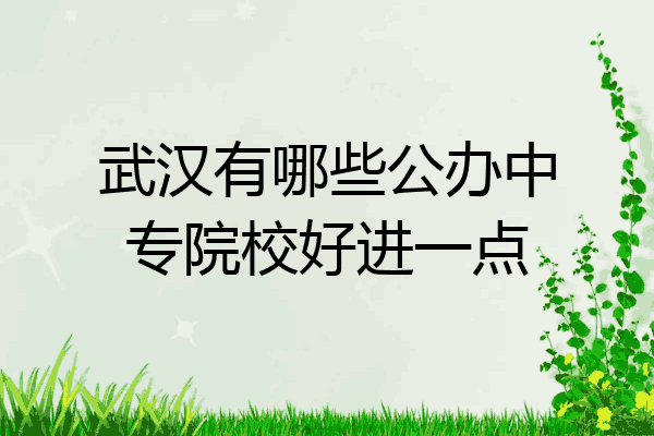 武汉有哪些公办中专院校好进一点