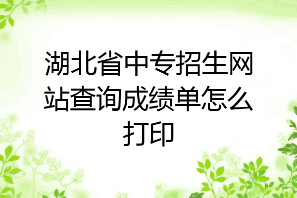 湖北省中专招生网站查询成绩单怎么打印