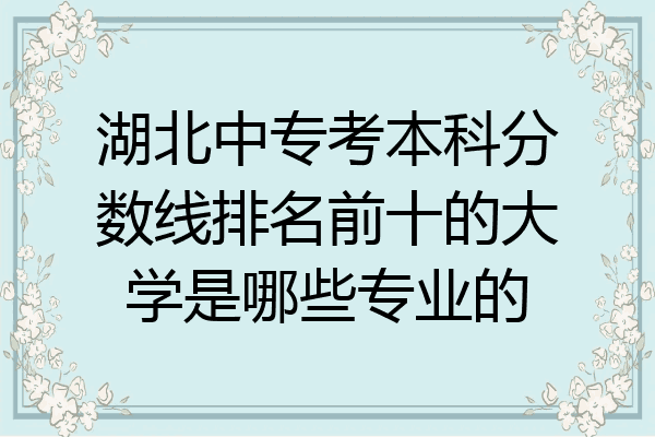 湖北中专考本科分数线排名前十的大学是哪些专业的