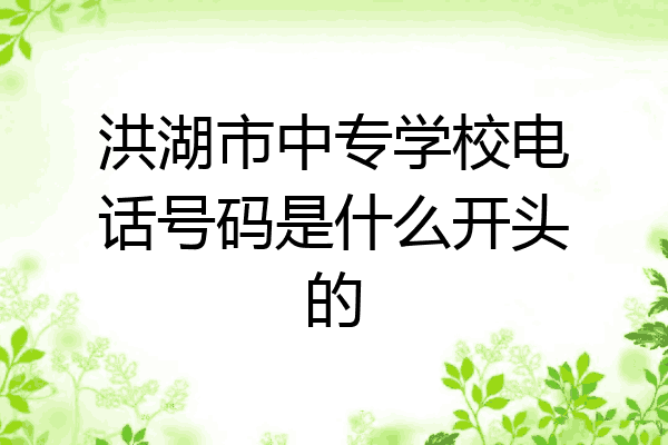 洪湖市中专学校电话号码是什么开头的