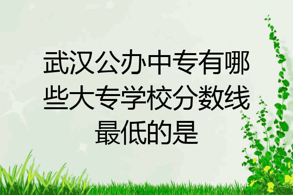 武汉公办中专有哪些大专学校分数线最低的是