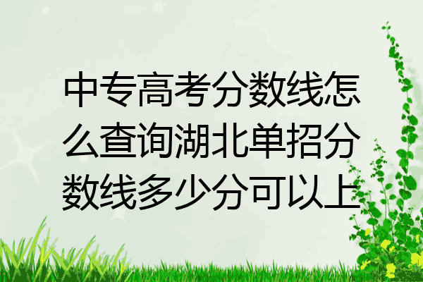 中专高考分数线怎么查询湖北单招分数线多少分可以上