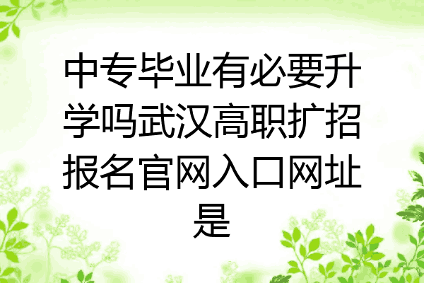中专毕业有必要升学吗武汉高职扩招报名官网入口网址是