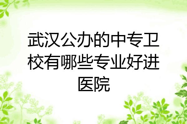 武汉公办的中专卫校有哪些专业好进医院