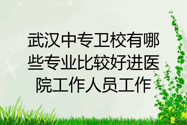 武汉中专卫校有哪些专业比较好进医院工作人员工作