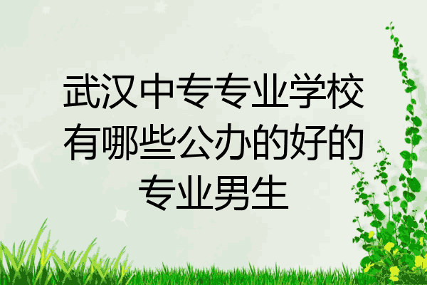 武汉中专专业学校有哪些公办的好的专业男生