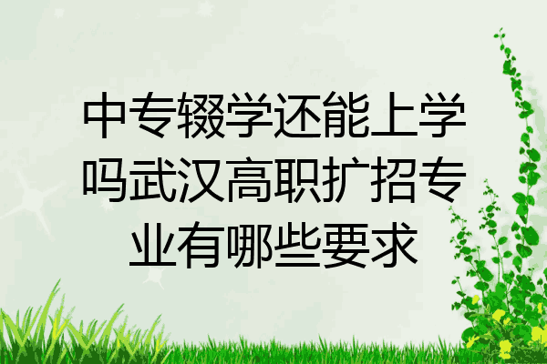 中专辍学还能上学吗武汉高职扩招专业有哪些要求