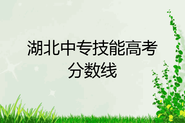 湖北中专技能高考分数线