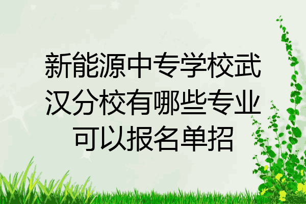 新能源中专学校武汉分校有哪些专业可以报名单招