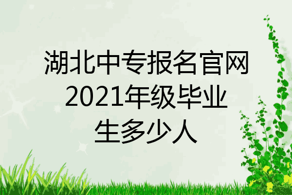 湖北中专报名官网2021年级毕业生多少人