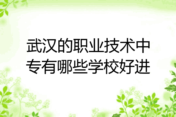 武汉的职业技术中专有哪些学校好进