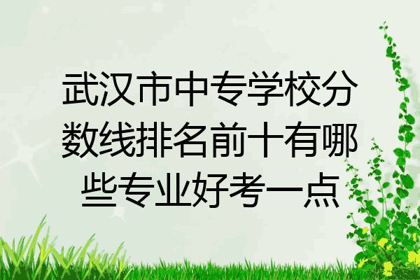 武汉市中专学校分数线排名前十有哪些专业好考一点