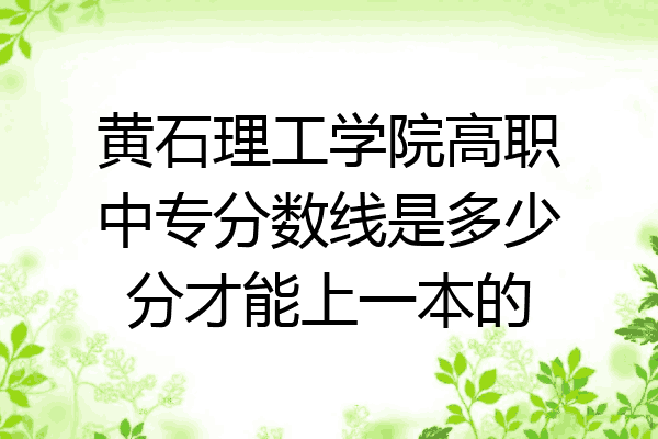 黄石理工学院高职中专分数线是多少分才能上一本的
