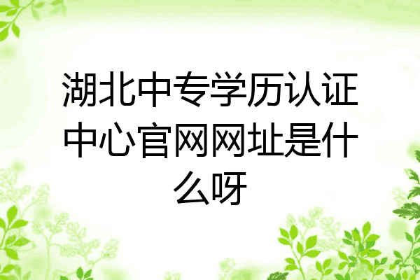 湖北中专学历认证中心官网网址是什么呀