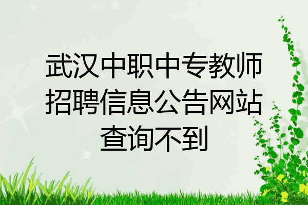 武汉中职中专教师招聘信息公告网站查询不到
