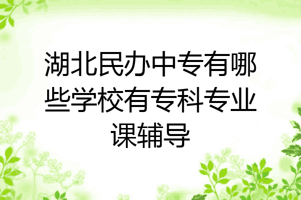 湖北民办中专有哪些学校有专科专业课辅导