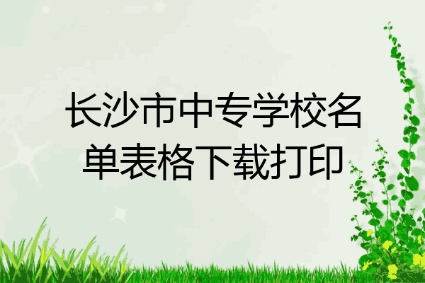 长沙市中专学校名单表格下载打印
