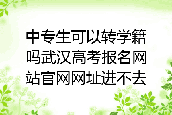 中专生可以转学籍吗武汉高考报名网站官网网址进不去