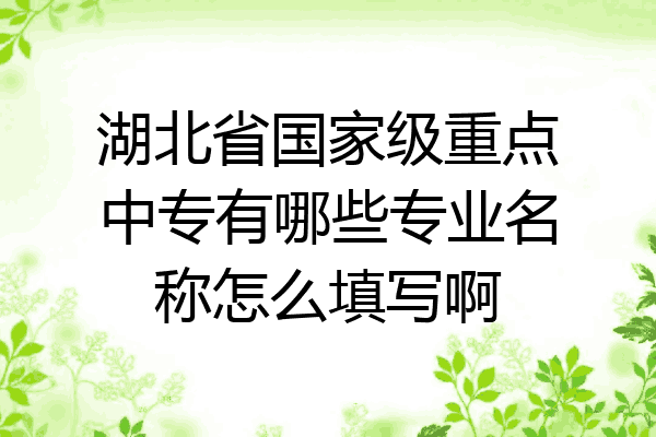 湖北省国家级重点中专有哪些专业名称怎么填写啊