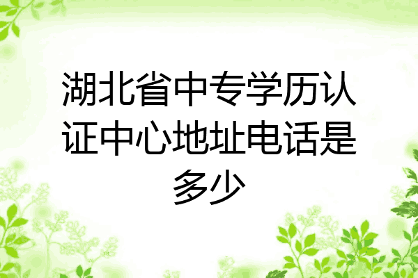 湖北省中专学历认证中心地址电话是多少