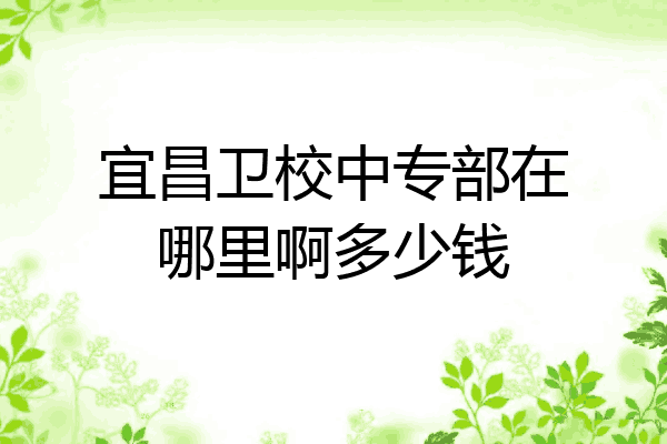 宜昌卫校中专部在哪里啊多少钱