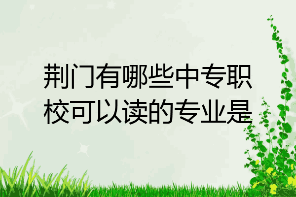 荆门有哪些中专职校可以读的专业是