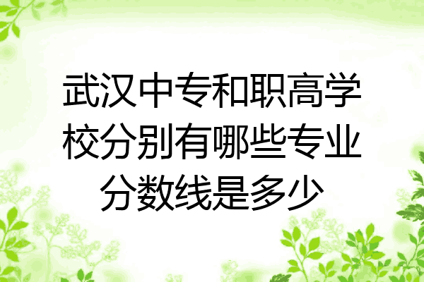 武汉中专和职高学校分别有哪些专业分数线是多少