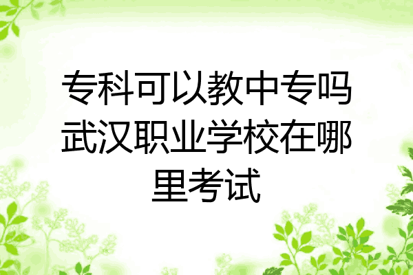 专科可以教中专吗武汉职业学校在哪里考试