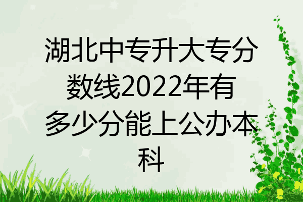 湖北中专升大专分数线2022年有多少分能上公办本科