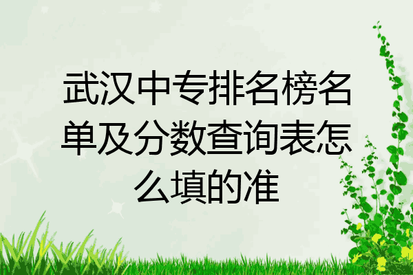 武汉中专排名榜名单及分数查询表怎么填的准